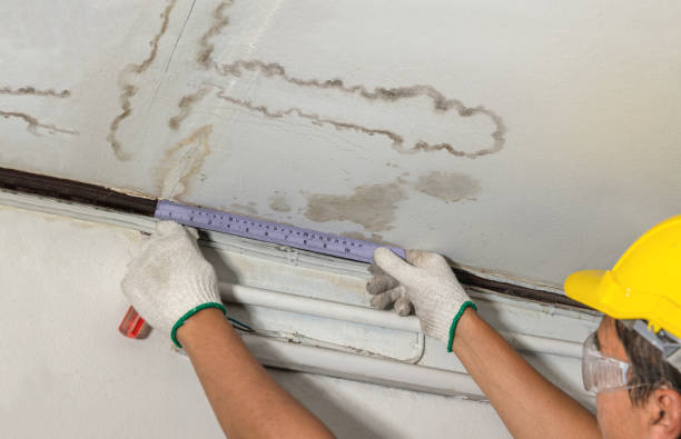 Reliable Water Damage Repair contractor in Rhoadesville, VA by Aqua Guard Water Damage